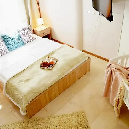 Wellness 귤러