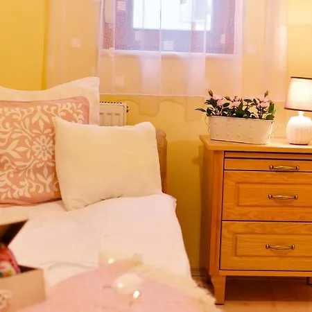Wellness 3* Gyula