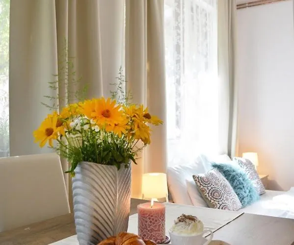 Bed & Breakfast Wellness 3*